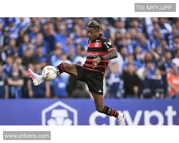 突尼斯足球明星盘点及其在国际赛场上的辉煌成就与影响力分析